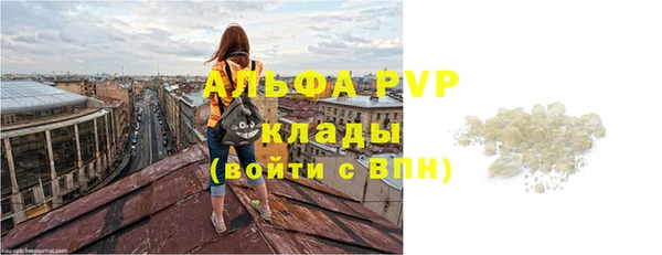 PSILOCYBIN Бронницы