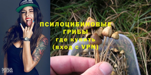 PSILOCYBIN Бронницы